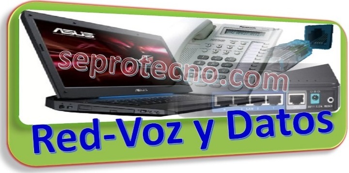 <span style="font-weight: bold;">Red-Voz y Datos.</span>